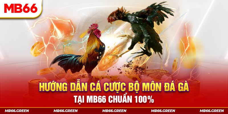u8888 xổ số bình định