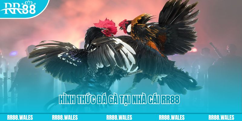 u8888 xin 1 slot là gì