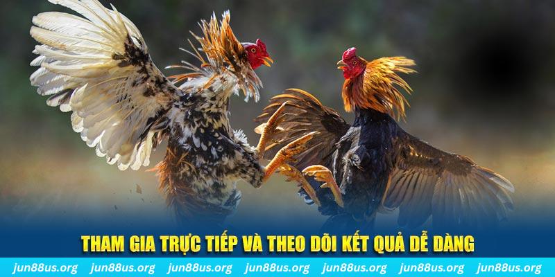 u8888 đá gà trực tiếp bình luận viên