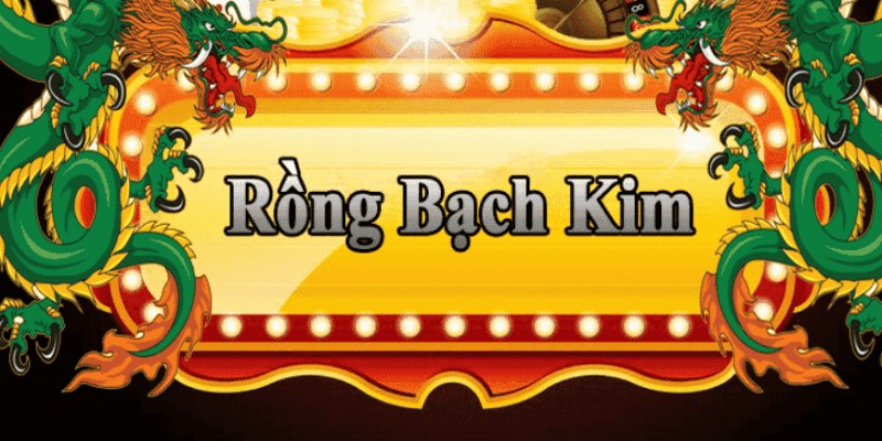 u8888 đăng nhập roulette 2025