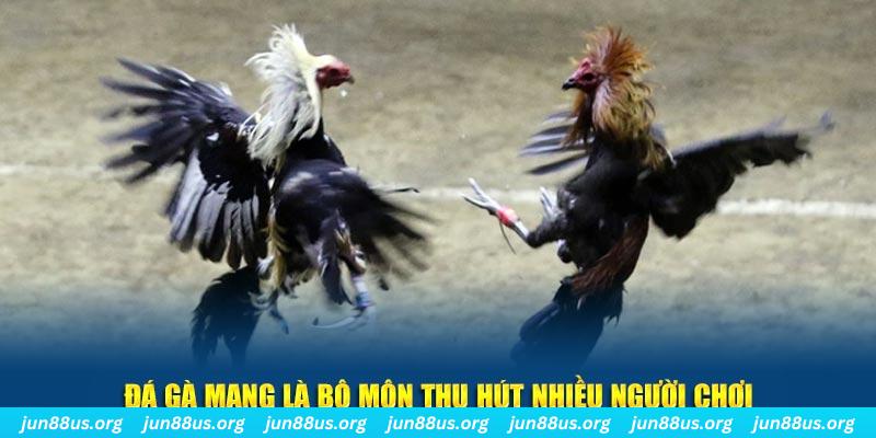 u8888 xổ số cà mau