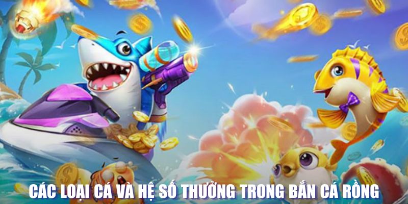 u8888 loi game dot kich ket noi may chu that bai