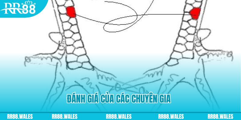 JDB Điện Tử