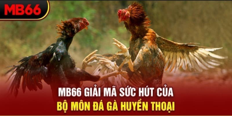 u8888 Phi Đội Ưu Tú