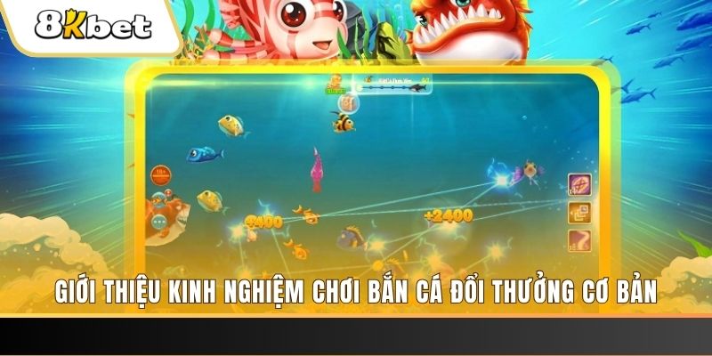 u8888 xổ số miền bắc thứ năm hàng tuần
