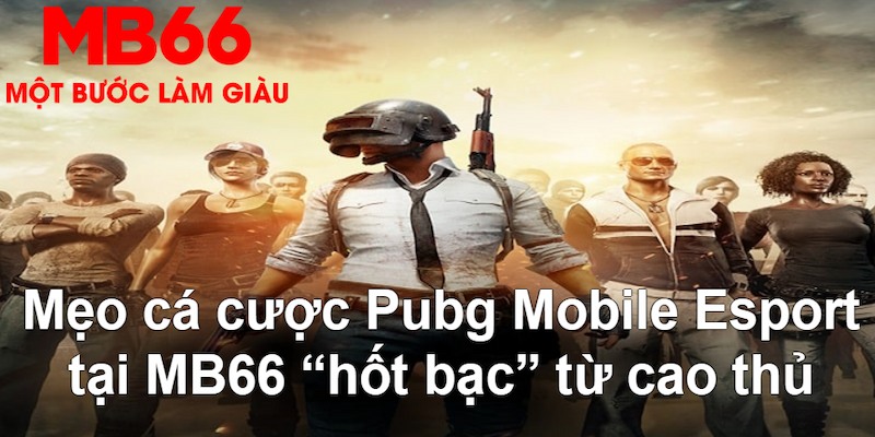 u8888 gà chọi mộc hóa