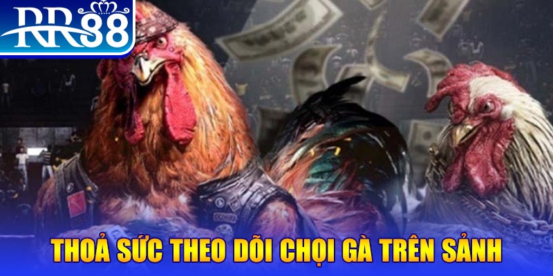 u8888 đá gà 88.com