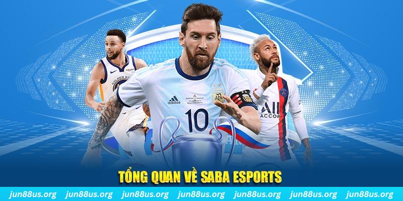u8888 gà chọi c1 tv trực tiếp hôm nay